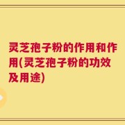 灵芝孢子粉的作用和作用(灵芝孢子粉的功效及用途)