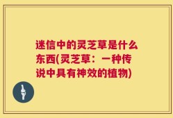 迷信中的灵芝草是什么东西(灵芝草：一种传说中具有神效的植物)