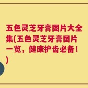 五色灵芝牙膏图片大全集(五色灵芝牙膏图片一览，健康护齿必备！)