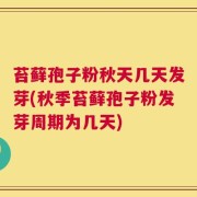 苔藓孢子粉秋天几天发芽(秋季苔藓孢子粉发芽周期为几天)