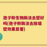 孢子粉生物酶法去壁好吗(孢子粉酶法去除墙壁效果显著)