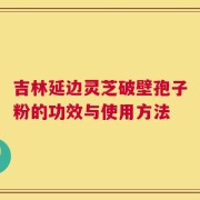 吉林延边灵芝破壁孢子粉的功效与使用方法