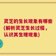 灵芝的生长现象有哪些(解析灵芝生长过程，认识其生理现象)