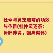 杜仲与灵芝泡茶的功效与作用(杜仲灵芝茶：补肝养肾，强身健体)