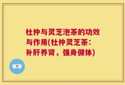 杜仲与灵芝泡茶的功效与作用(杜仲灵芝茶：补肝养肾，强身健体)