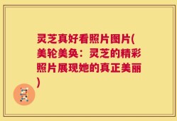 灵芝真好看照片图片(美轮美奂：灵芝的精彩照片展现她的真正美丽)