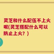 灵芝和什么配伍不上火呢(灵芝搭配什么可以防止上火？)