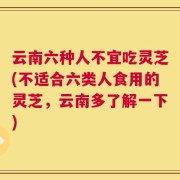 云南六种人不宜吃灵芝(不适合六类人食用的灵芝，云南多了解一下)