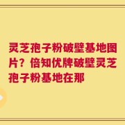 灵芝孢子粉破壁基地图片？倍知优牌破壁灵芝孢子粉基地在那
