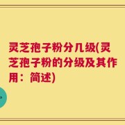 灵芝孢子粉分几级(灵芝孢子粉的分级及其作用：简述)