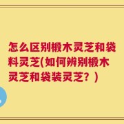怎么区别椴木灵芝和袋料灵芝(如何辨别椴木灵芝和袋装灵芝？)