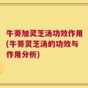 牛蒡加灵芝汤功效作用(牛蒡灵芝汤的功效与作用分析)