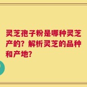灵芝孢子粉是哪种灵芝产的？解析灵芝的品种和产地？
