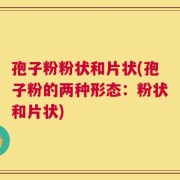 孢子粉粉状和片状(孢子粉的两种形态：粉状和片状)