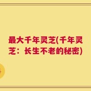 最大千年灵芝(千年灵芝：长生不老的秘密)