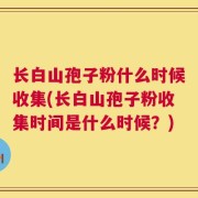 长白山孢子粉什么时候收集(长白山孢子粉收集时间是什么时候？)