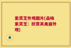 紫灵芝外观图片(品味紫灵芝：欣赏其美丽外观)