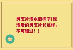 灵芝片泡水后样子(浸泡后的灵芝片长这样，不可错过！)