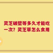 灵芝破壁等多久才能吃一次？灵芝草怎么食用