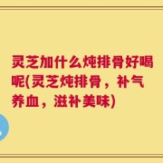 灵芝加什么炖排骨好喝呢(灵芝炖排骨，补气养血，滋补美味)