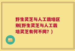 野生灵芝与人工栽培区别(野生灵芝与人工栽培灵芝有何不同？)