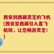 西安到西藏灵芝的飞机(西安至西藏引入直飞航班，让您畅游灵芝！)