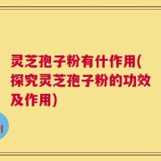灵芝孢子粉有什作用(探究灵芝孢子粉的功效及作用)