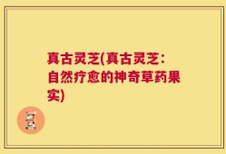 真古灵芝(真古灵芝：自然疗愈的神奇草药果实)