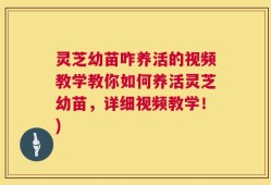 灵芝幼苗咋养活的视频教学教你如何养活灵芝幼苗，详细视频教学！)