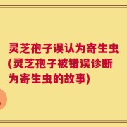 灵芝孢子误认为寄生虫(灵芝孢子被错误诊断为寄生虫的故事)