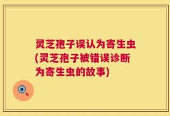 灵芝孢子误认为寄生虫(灵芝孢子被错误诊断为寄生虫的故事)