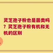 灵芝孢子粉也是菌类吗？灵芝孢子粉有机和无机的区别