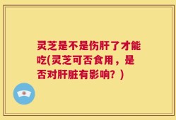 灵芝是不是伤肝了才能吃(灵芝可否食用，是否对肝脏有影响？)