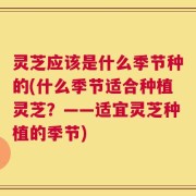 灵芝应该是什么季节种的(什么季节适合种植灵芝？——适宜灵芝种植的季节)