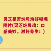 灵芝是否炖母鸡好喝呢图片(灵芝炖母鸡：口感美妙，滋补养生！)