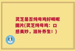 灵芝是否炖母鸡好喝呢图片(灵芝炖母鸡：口感美妙，滋补养生！)