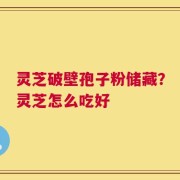 灵芝破壁孢子粉储藏？灵芝怎么吃好