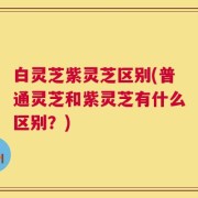 白灵芝紫灵芝区别(普通灵芝和紫灵芝有什么区别？)