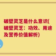 破壁灵芝是什么意识(破壁灵芝：功效、用途及营养价值解析)