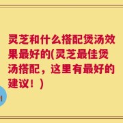 灵芝和什么搭配煲汤效果最好的(灵芝最佳煲汤搭配，这里有最好的建议！)