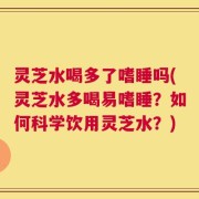 灵芝水喝多了嗜睡吗(灵芝水多喝易嗜睡？如何科学饮用灵芝水？)