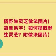 摘野生灵芝做法图片(简单易学！如何摘取野生灵芝？附做法图片)