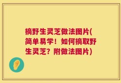 摘野生灵芝做法图片(简单易学！如何摘取野生灵芝？附做法图片)