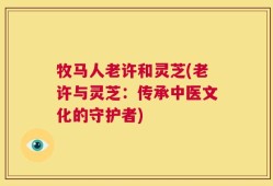 牧马人老许和灵芝(老许与灵芝：传承中医文化的守护者)
