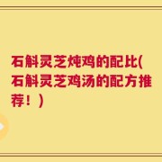 石斛灵芝炖鸡的配比(石斛灵芝鸡汤的配方推荐！)