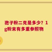 孢子粉二克是多少？1g粉末有多重参照物