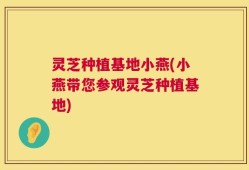 灵芝种植基地小燕(小燕带您参观灵芝种植基地)