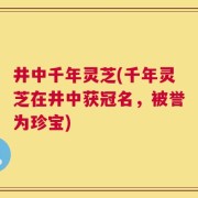 井中千年灵芝(千年灵芝在井中获冠名，被誉为珍宝)