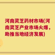 河南灵芝药材市场(河南灵芝产业市场火爆，助推当地经济发展)