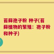 苔藓孢子粉 种子(苔藓植物的繁殖：孢子粉和种子)